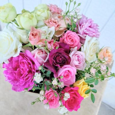 ふるさと納税 杵築市 『天使のバラ』薔薇だけの自立型花束(色MIX)Lサイズ |  | 03