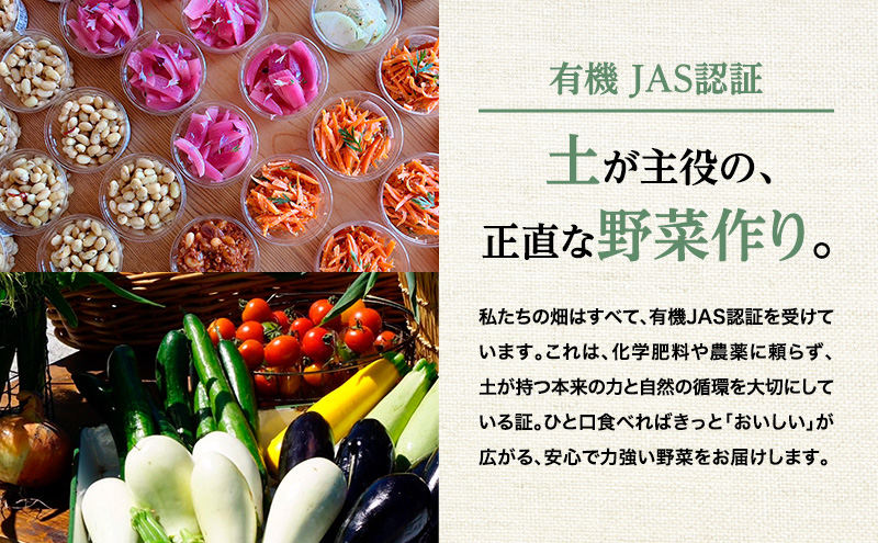 小笠原農園の有機野菜3種詰合せ（メークイン1.5kg・玉ねぎ1.5kg・リーキ3kg）【北海道十勝幕別】《2025年秋出荷先行予約》【 野菜 芋 じゃがいも メークイン 玉ねぎ たまねぎ ねぎ ネギ 