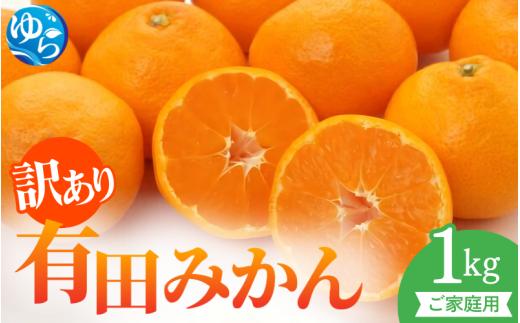 【先行予約】訳ありご家庭用有田みかん１㎏※2025年11月上旬～2026年１月中旬に順次発送 / 和歌山県 柑橘 みかん 甘い 蜜柑 フルーツ 果物 くだもの 食品 人気  晩柑 おすすめ 送料無料 産地直送 由良町【stm300】