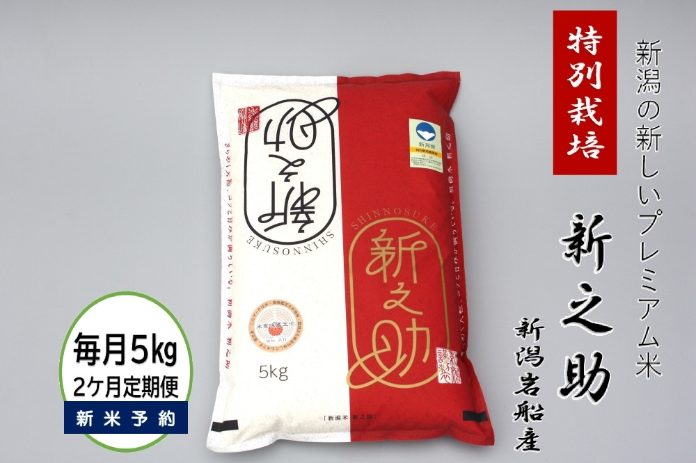 
                  【新米受付・令和8年産米】【2ヶ月定期便】食味鑑定士板垣謹製 新潟県村上市岩船産 特別栽培 新之助 5kg×2ヶ月 1039052N｜連続 毎月 お届け 新耕農産 一等米 プレミアム米 農家直送 低温倉庫保管
                