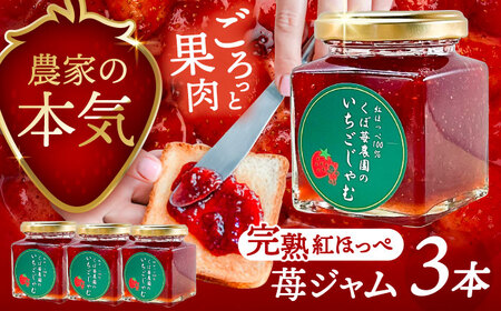 いちごジャム 3本 苺 イチゴ ジャム【配達不可：離島】 / くぼ苺農園[AECJ022]