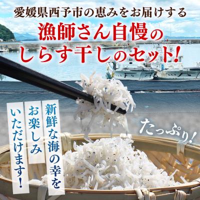 ふるさと納税 西予市 漁師さん自慢のしらす干し 合計500g(1パック100g入り) |  | 01