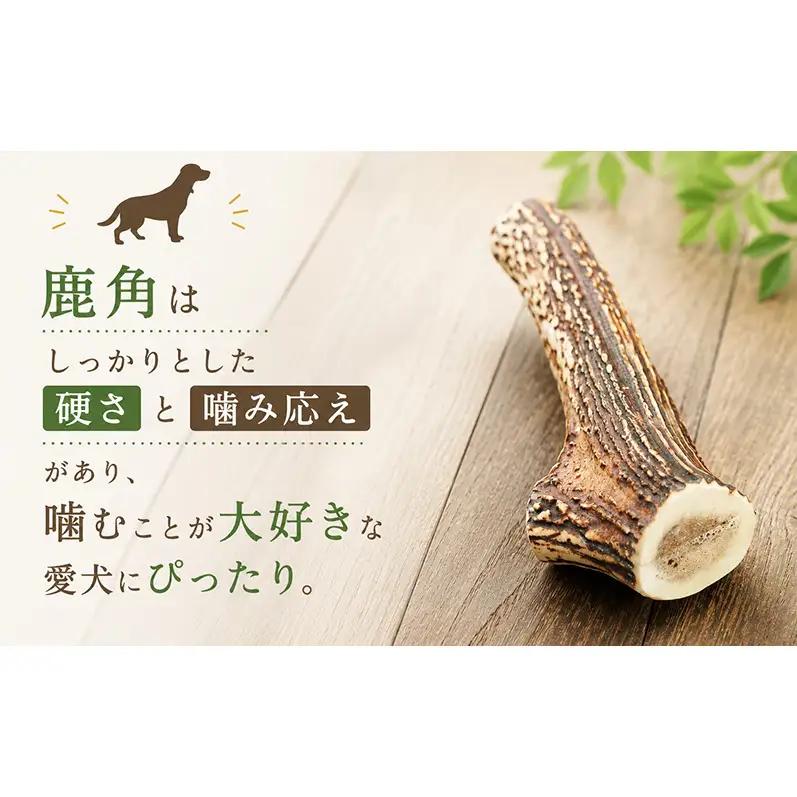「克じぃの店」の愛犬用鹿角カット（小） おもちゃ ペット用 犬 静岡県 森町