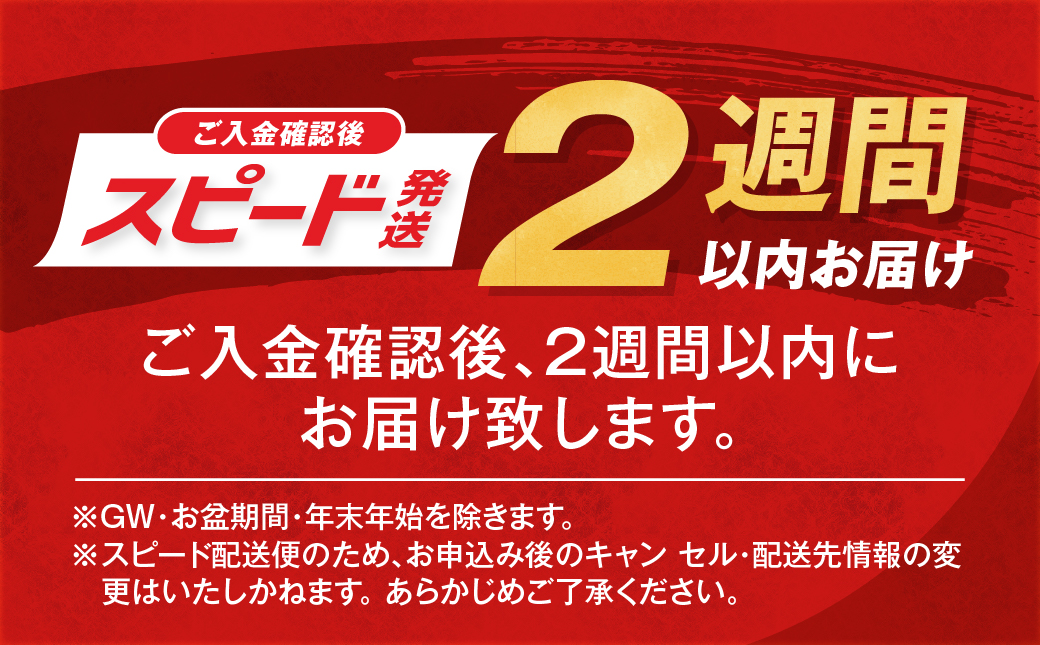 宮崎牛ロースステーキ2枚 計500g≪みやこんじょ快速便≫_MJ-N201-R