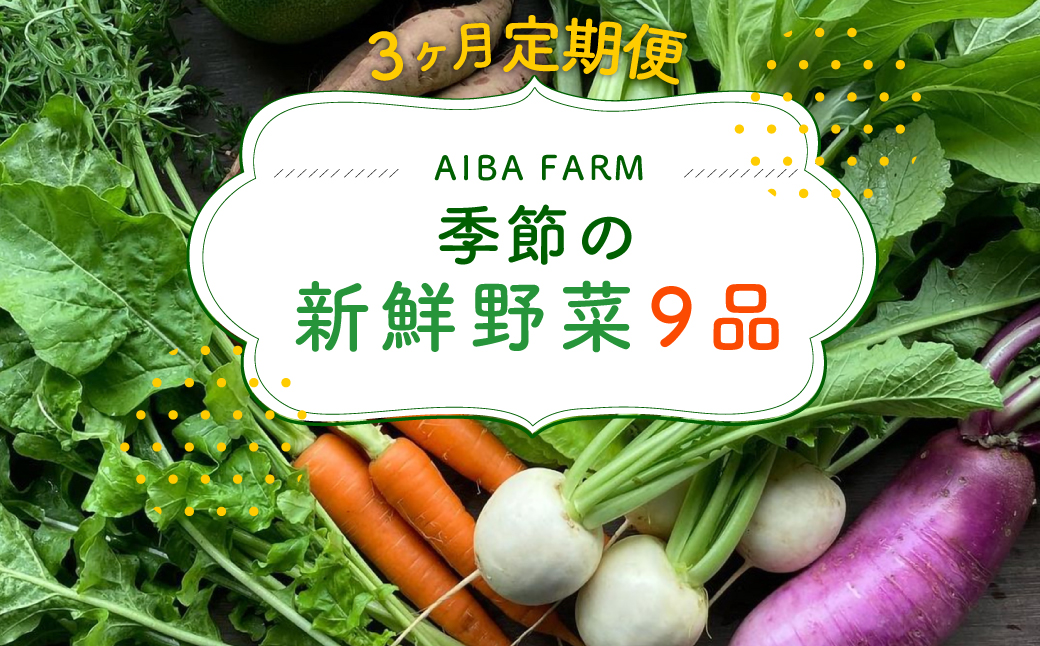 【3ヶ月 定期便】【栽培期間中農薬不使用】農家直送！「９品」季節の新鮮野菜詰め合わせセット AIBA FARM TML002 / 野菜セット 無農薬 野菜 千葉県 富里市 直送野菜 お野菜セット 旬野菜 季節野菜 農家直送 採れたて とれたて やさい 詰め合わせ セット ヤサイ 旬の野菜 季節の野菜 産地直送 詰め合わせ おまかせ 新鮮 農薬不使用