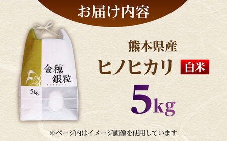 【先行予約】 ヒノヒカリ 白米 5㎏（5㎏×1袋） 【株式会社 岩下農園】[ZFS003]