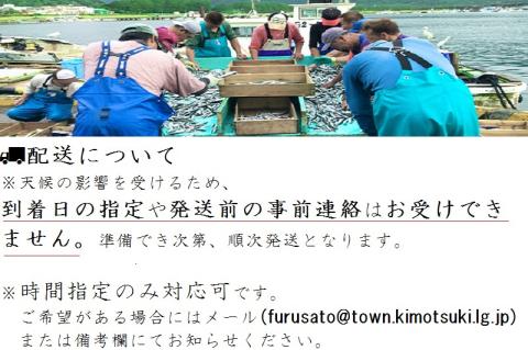 魚屋さんの選んだ新鮮お魚詰め合わせ（約4人分）