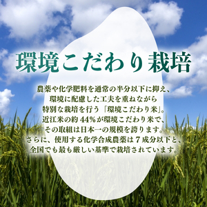 【令和7年産】減農薬米 彦根産 恋の予感 白米 5kg ［shika01_X1] 白米