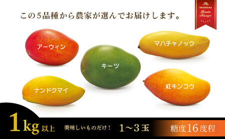 マンゴー【 先行予約 : 2026年7月頃より順次発送 】 完熟マンゴー 1kg