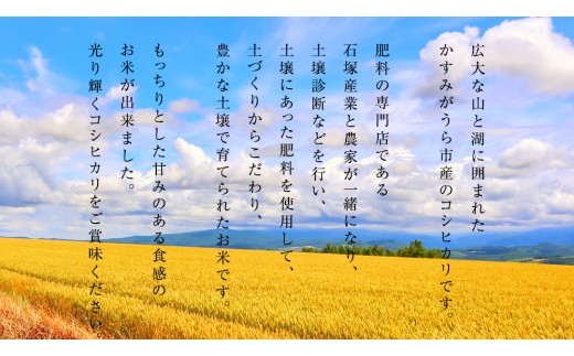 【新米】 令和8年産 コシヒカリ 精米 5kg ( 5kg × 1袋 ) (茨城県共通返礼品) こしひかり スピード発送 早い 米 ごはん もっちり 甘い コメ お米 白米 銘柄米 茨城県 桜川市 [