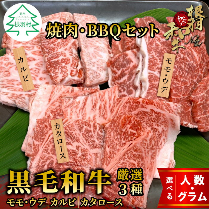 【ふるさと納税】根羽こだわり和牛 内容量が選べる 黒毛和牛焼肉・BBQセット 450g～1050g 2～3人前キャンプ バラ肉 モモ肉 盛り合わせ 厳選 牛肉 和牛 焼き肉 バーベキュー BBQ キャンプ カルビ カタロース 大人数 国産牛