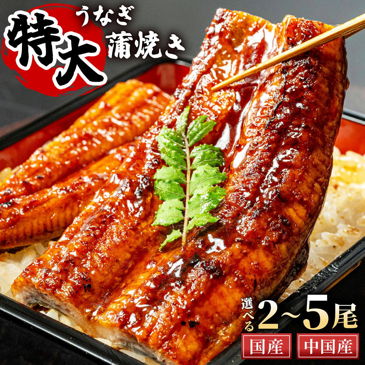 【ふるさと納税】【選べる内容量】特大うなぎ蒲焼200g（2尾〜5尾）※国産は2尾(400g)のみ | ふるさと納税 うなぎ 蒲焼 うなぎ蒲焼 鰻 うな重 うなぎ丼 タレ付き 冷凍 お取り寄せ ギフト 人気 土用の丑の日 九州 グルメ 高級食材