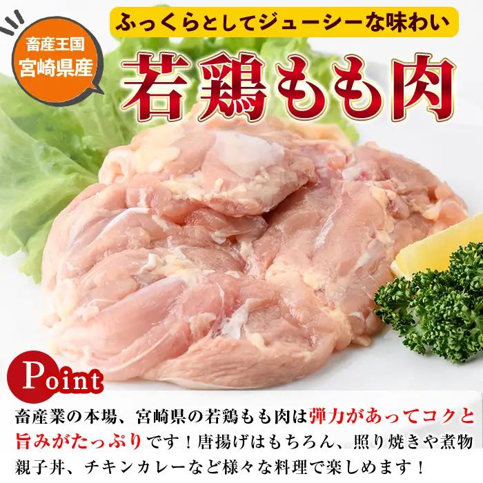 【定期便・全6回】宮崎県産若鶏もも肉(総量22.8kg以上・鶏もも一枚肉250～350g×10～12枚×6回) お肉 国産 冷凍【NK-23】【南九フーズ】