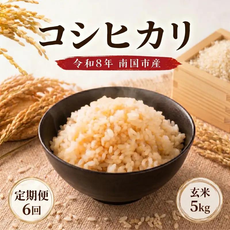 【先行予約】玄米 5㎏ コシヒカリ 令和8年度 玄米 6回定期便