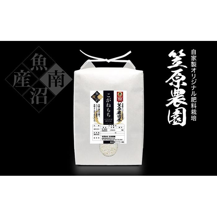 【ふるさと納税】【令和7年産新米予約／2025年11月上旬より順次発送】南魚沼産 笠原農園米 こがねもち（もち米） 5kg | お米 こめ 白米 食品 人気 おすすめ 送料無料 魚沼 南魚沼 南魚沼市 新潟県産 新潟県 精米 産直 産地直送 お取り寄せ お楽しみ