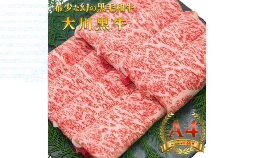 国産黒毛和牛 大川黒牛 ロース すき焼き用 スライス A4（250g×2パック） 国産 黒毛和牛 A4 ロース 牛肉 すき焼き 高知県 大川村 F6R-024
