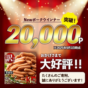 ＜定期便・計3回(連続月)＞ New ポーク ウインナー (業務用) 1kg×3P×3回 計9kg ウインナー ソーセージ 【ナンチク】i1203-A