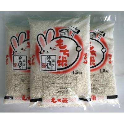 ふるさと納税 近江八幡市 【令和7年産】滋賀羽二重もち米　1.5kg×3袋