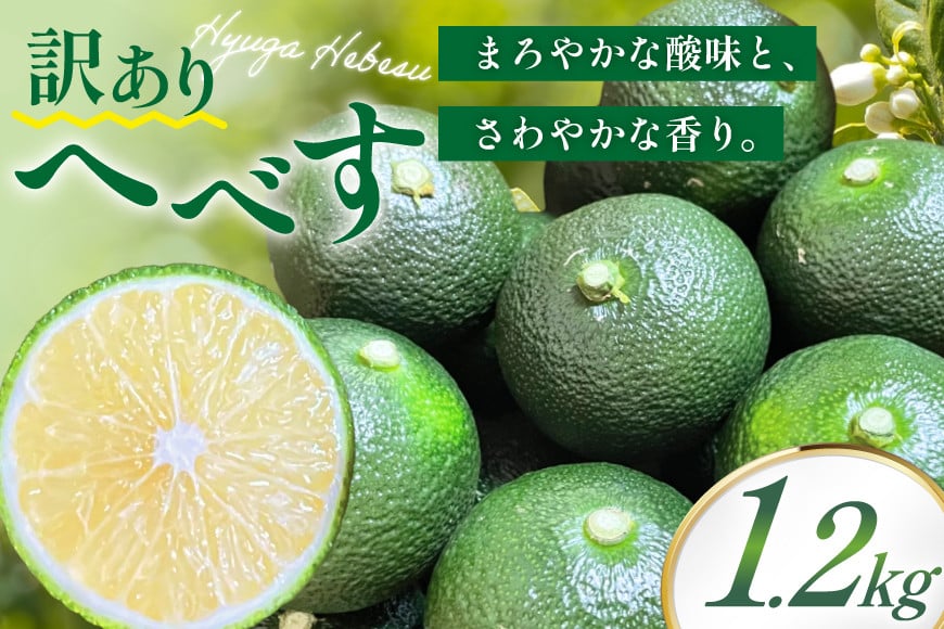 
            【期間限定発送】 へべす 訳あり 宮崎 栽培期間中農薬不使用 露地へべす1.2kg [かわの農園 宮崎県 日向市 452061172] 先行予約 家庭用 国産 ヘベス 訳アリ
          