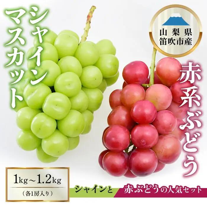 【2026年発送★先行予約】シャインマスカット×赤系ぶどう 1kg～1.2kg ※クール便　154-046-26y