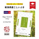 【ふるさと納税】 令和6年産先行予約 新潟県産 こしいぶき 5kg×6か月 【 新潟県 新潟産 新潟米 新発田産 新発田 お米 米 こしいぶき とんとん市場 せいだ 5kg 30kg 6か月 半年 定期便 数量限定 玄米 先行予約 D56_01Y 】