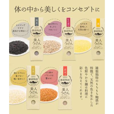 ふるさと納税 笠岡市 雑穀物語美人うどん五穀　A-15 |  | 02