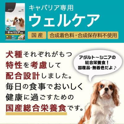 ふるさと納税 都城市 ドッグフード(キャバリア専用)アダルト〜シニア2.7kg |  | 01