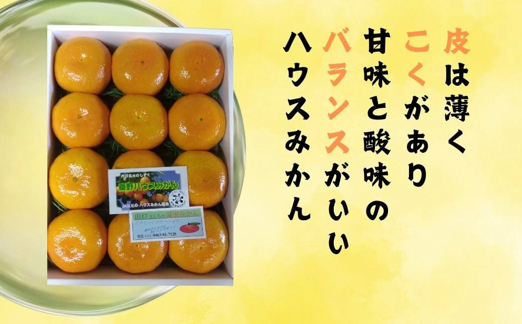 【先行予約！７月以降順次発送】甘いハウスみかん（1.5㎏) 1.5kg