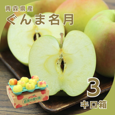 【10月下旬より発送開始】産地直送 青森県産ぐんま名月 3キロ箱 6～14玉 青森県産りんご【配送不可地域：離島】