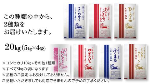 【新米先行予約開始！ / 12月上旬出荷分】《 令和6年産 》茨城県産 米 2種 食べ比べ セット 精米 20kg （ コシヒカリ 10kg +その他1種）【各月 数量限定】　こしひかり 米 コメ