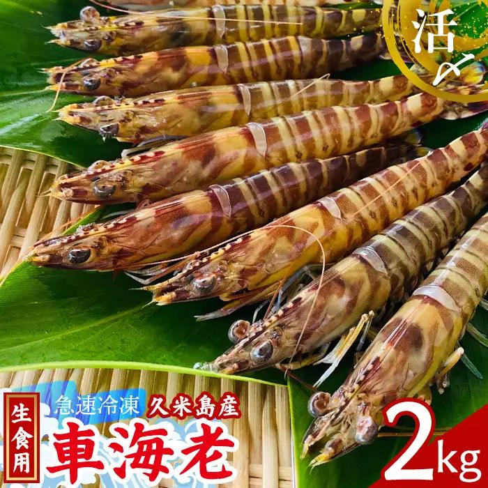 車海老【久米島漁協】活〆冷凍車海老　生食用2kg 車えび 海鮮
