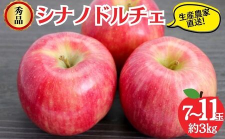 りんご シナノドルチェ 秀品 3kg 7～11玉 りんご