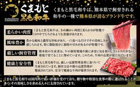 くまもと黒毛和牛 特上 スライス ウデ・モモ 1000g 牛肉 冷凍 《7-14日以内に出荷予定(土日祝除く)》 くまもと黒毛和牛 黒毛和牛 冷凍庫 個別 取分け 小分け 個包装 モモ スライス 肉 