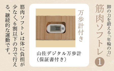 脚の力を鍛える「年輪の力」 筋肉ソフトレ1  筋トレ