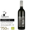 【ふるさと納税】FVシャインマスカットスペシャルリザーヴ白　甘口750ml ふるさと納税 ワイン 国産 日本ワイン 山梨 シャインマスカットワイン 白ワイン 笛吹市 165-022