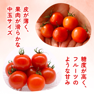 フルティカトマト 2kg トマト とまと 野菜 季節限定