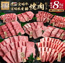 【ふるさと納税】数量限定 6か月 お楽しみ 定期便 宮崎牛 豚肉 焼肉 セット 総重量8kg以上 牛肉 ビーフ ポーク 黒毛和牛 ミヤチク モモ バラ 肩ロース ミスジ ウデ 豚バラ BBQ 鉄板焼き 食べ比べ 国産 食品 おかず お弁当 冷凍 お取り寄せ グルメ 宮崎県 日南市 送料無料