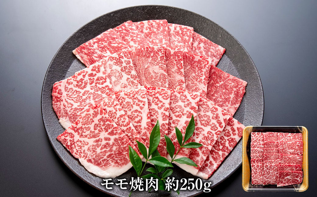 博多和牛の食べ比べセット 約650g（切り落とし約200g×2パック＋モモ焼肉約250g）和牛 切り落とし モモ