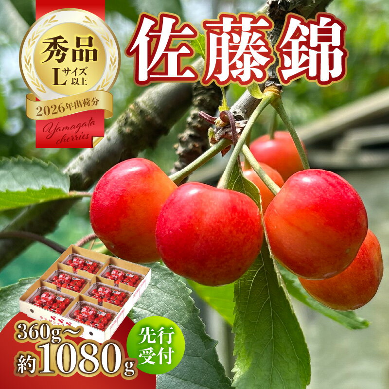 【ふるさと納税】【2026年度先行受付】★さくらんぼ佐藤錦★秀品 選べる内容量(360g～1080g) 【6月より順次発送予定】 ふるさと納税 山形県 大江町 さくらんぼ 佐藤錦 秀品 果物 フルーツ デザート 人気