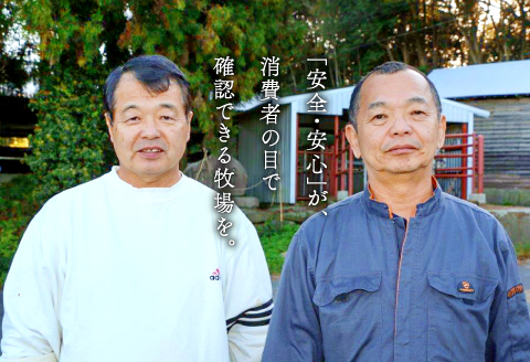 D-293 松永和牛A5ランク　すき焼き　800g