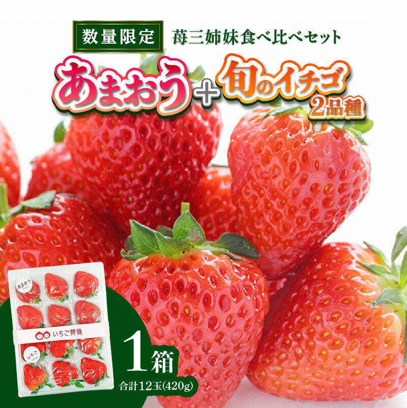 【ふるさと納税】＜2026年1月～順次発送＞苺三姉妹【あまおう＋旬のイチゴ2品種】食べ比べセット★数量限定★ あまおう いちご 苺 イチゴ フルーツ 果物 くだもの 人気 旬 福岡県産 食べ比べ 採れたて セット 冷蔵配送 箱入り 贈答品 プレゼント 産地直送 福岡県 八女市