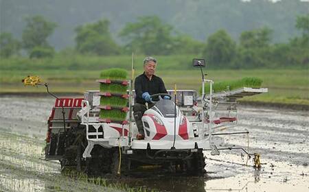 【定期便4回】令和7年度 山形県戸沢村産 はえぬき 10kg(5kg×2)×4回 合計40kg 精米 白米 お米 米 米米 新米 ご飯 ごはん ブランド米 銘柄米 2025年産 令和7年度産 家庭用 