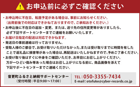 ［先行受付］おとふけ産マンゴー「白銀の太陽プレミアム」2Lサイズ×2玉【D18】《2026年11月上旬より発送開始予定》