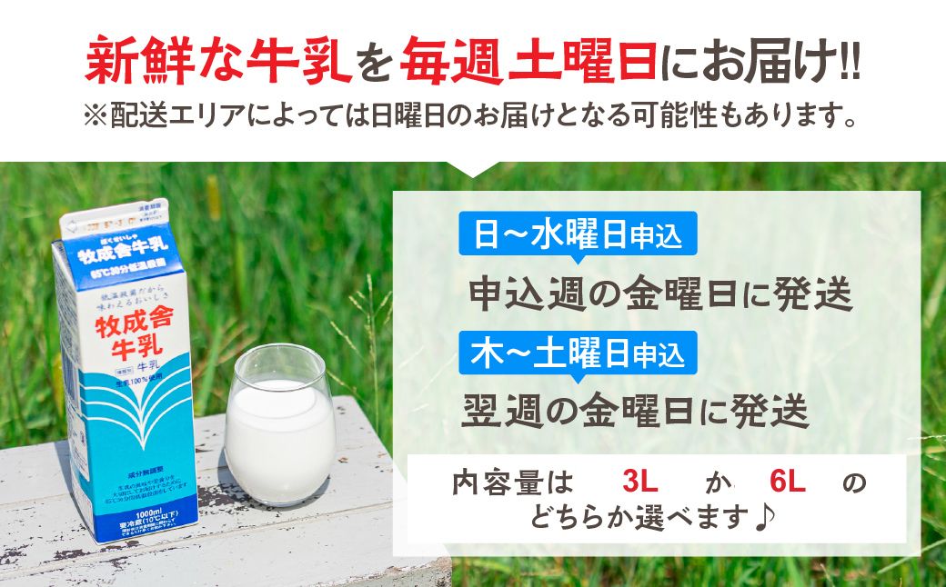 【毎週定期便 牛乳 6本×8回】 毎週 回数選べる 2ヶ月 飛騨産生乳100％ 牧成舎 美味しい低温殺菌牛乳 乳製品 飛騨 お楽しみ