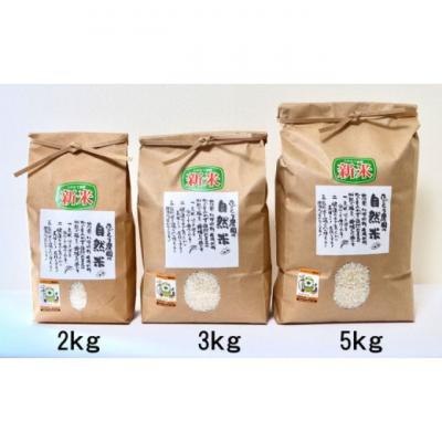 ふるさと納税 小郡市 定期便 12ヶ月 米 たごもり農園の自然米 ヒノヒカリ 3kg[No5354-2343] |  | 03