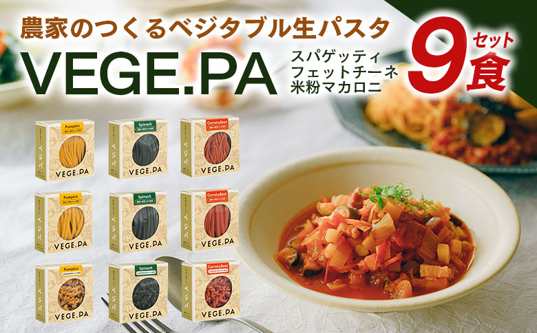 パスタ ベジタブル 野菜パスタ スパゲッティ フェットチーネ マカロニ VEGE.PA ベジパ 9食