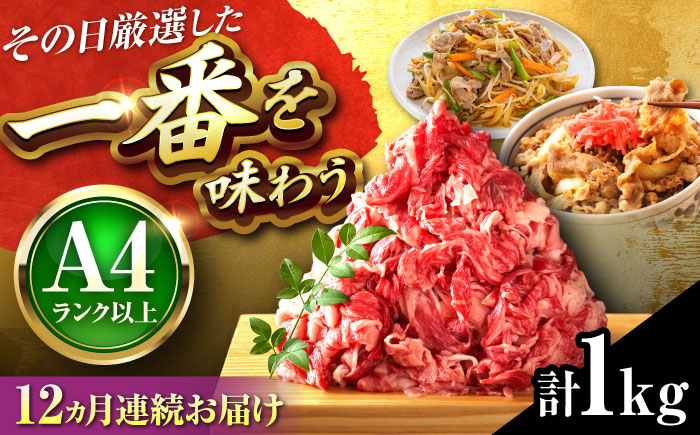 
                  【全12回定期便】【A4〜A5】博多和牛 切り落とし 1kg(500g×2P) 吉富町/株式会社MEAT PLUS [BGAB103] 牛肉 切り落とし 国産 福岡県
                