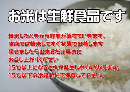 【定期便/3ヶ月】令和6年産岩手県産ひとめぼれ10kg(5kg×2袋)