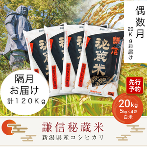 令和7年産 定期便偶数月発送（20kg×6回分）20kg 米 新潟県産 コシヒカリ  精白米 謙信秘蔵米  お米  こめ コメ 