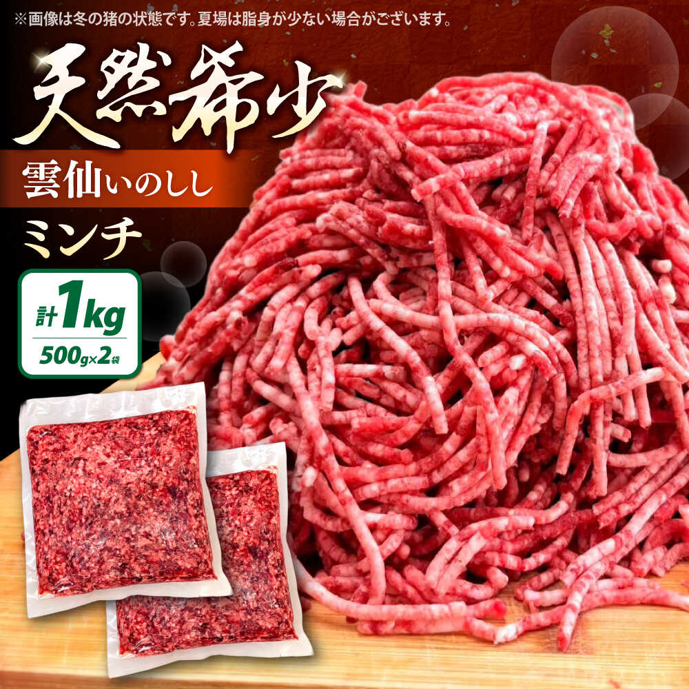 【ふるさと納税】【安心！日本最大級の処理実績】猪肉 ミンチ 500g×2パック 雲仙いのしし / いのしし 猪 ひき肉 肉 イノシシ ジビエ いのしし ハンバーグ 猪肉 ジビエ じびえ 肉 お肉 しし鍋 イノシシ肉 いのしし肉 ジビエ肉 いのしし / 南島原市 / もりのめぐみ [SDB012]
